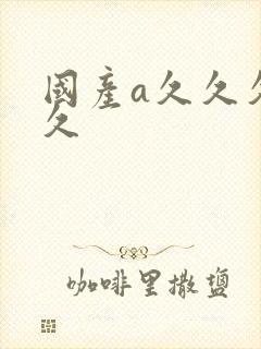 国产a久久久久久