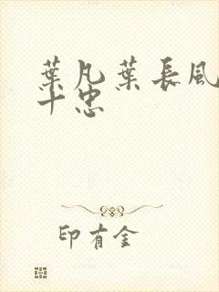 叶凡叶长风一门十忠封面