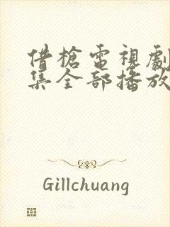 借枪电视剧40集全部播放