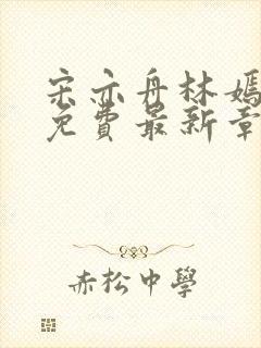 宋亦舟林嫣全文免费最新章节阅读