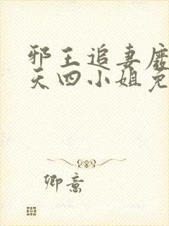 邪王追妻废材逆天四小姐免费阅读全文