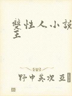 双性人小说双男主