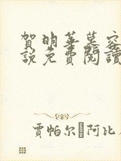 贺明华慕容雪小说免费阅读全文