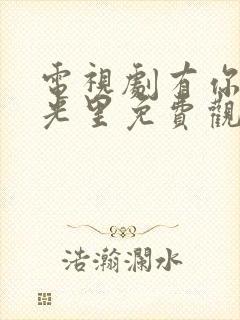 电视剧有你的时光里免费观看全集