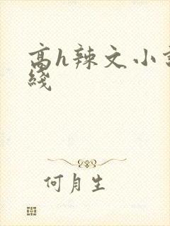 高h辣文小说在线