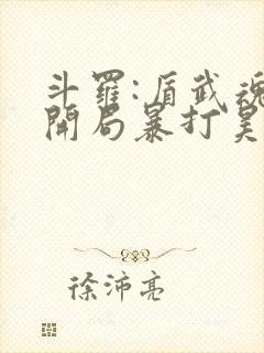 斗罗:盾武魂,开局暴打昊天锤