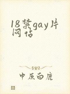 18禁gay片网站封面