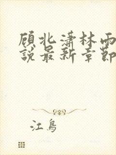 顾北潇林雨菲小说最新章节