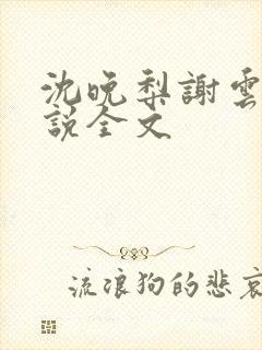 沈晚梨谢云迟小说全文