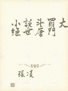 小说斗罗大陆2绝世唐门