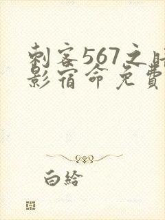 刺客567之暗影宿命免费观看