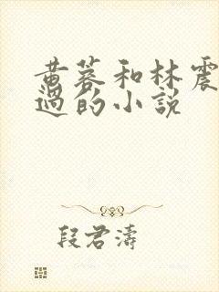 黄蓉和林震改编过的小说