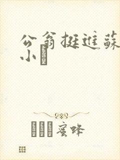 公翁挺进苏玥的小泬