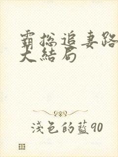 霸总追妻路漫漫大结局