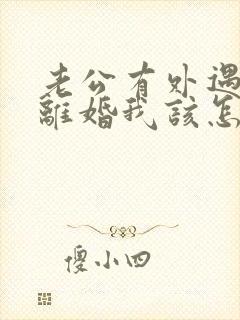 老公有外遇提出离婚我该怎么办