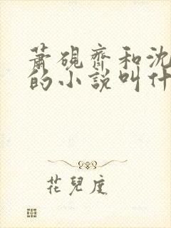 萧砚齐和沈梦晚的小说叫什么