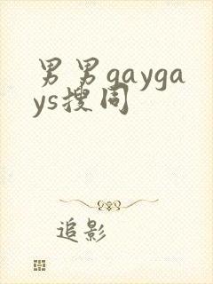 男男gaygays搜同
