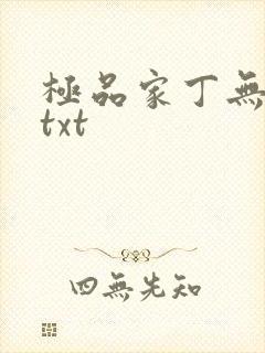 极品家丁无删减txt