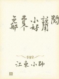 免费小说阅读器哪个好用