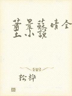 萧晨苏晴全能兵王小说封面