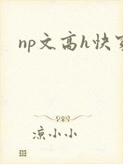 np文高h快穿