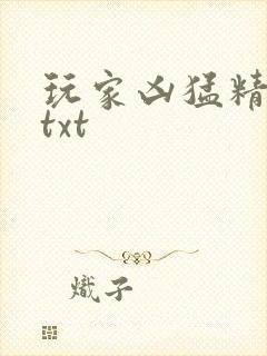 玩家凶猛精校版txt封面