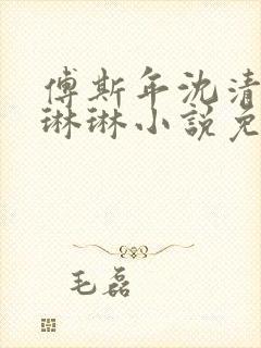 傅斯年沈清欢谢琳琳小说免费阅读