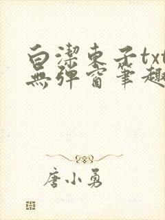 白洁东子txt无弹窗笔趣阁