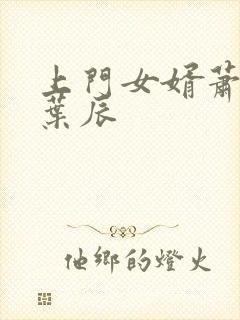 上门女婿萧初然叶辰封面