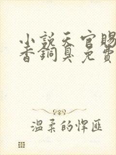 小说天官赐福墨香铜臭免费阅读全文封面