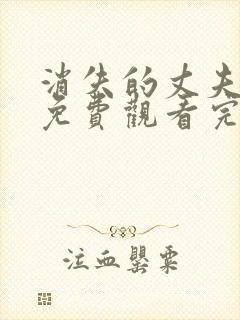 消失的丈夫短剧免费观看完整版高清