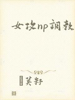 女攻np调教文