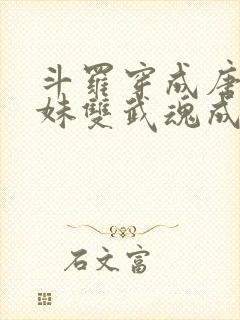 斗罗穿成唐三亲妹双武魂成神