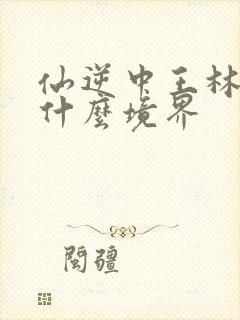 仙逆中王林最后什么境界