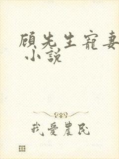 顾先生宠妻有度 小说