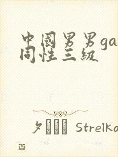 中国男男gay同性三级