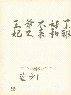 王爷不好了,王妃又来和离了