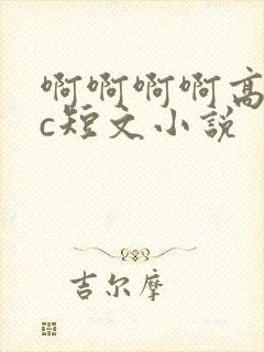 啊啊啊啊高h高c短文小说
