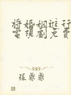 将婚姻进行到底电视剧免费全集观看