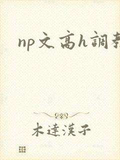 np文高h调教
