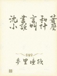 沈书言和萧淮的小说叫什么名字啊