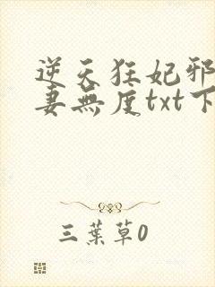 逆天狂妃邪王宠妻无度txt下载