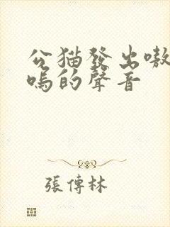 公猫发出嗷呜嗷呜的声音