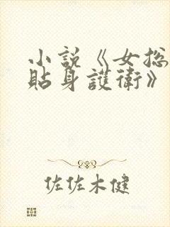 小说《女总裁的贴身护卫》