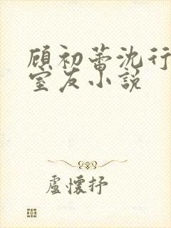 顾初蕾沈行合租室友小说封面