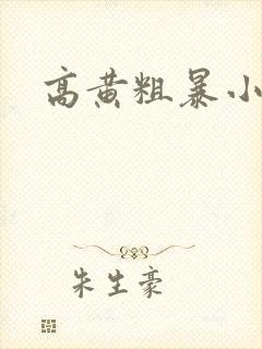高黄粗暴小说