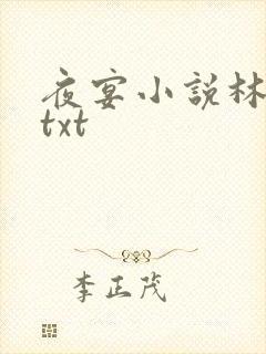 夜宴小说林光曦txt