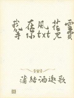 我在风花雪月里等你txt免费下载封面