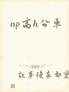 np高h公车