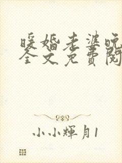 暖婚老婆晚上好全文免费阅读